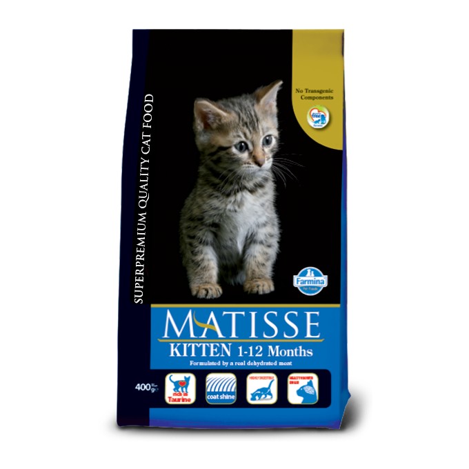 Matisse Kitten 1-12 Months