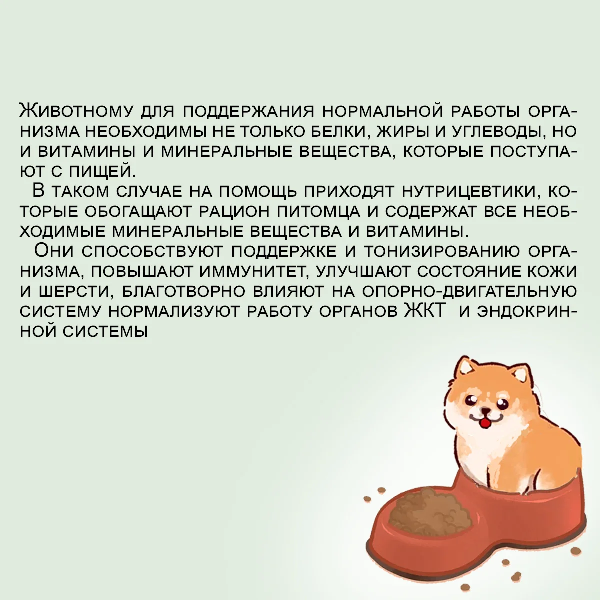 Edel Medium & Maxi для взрослых собак средних и крупных пород с говядиной