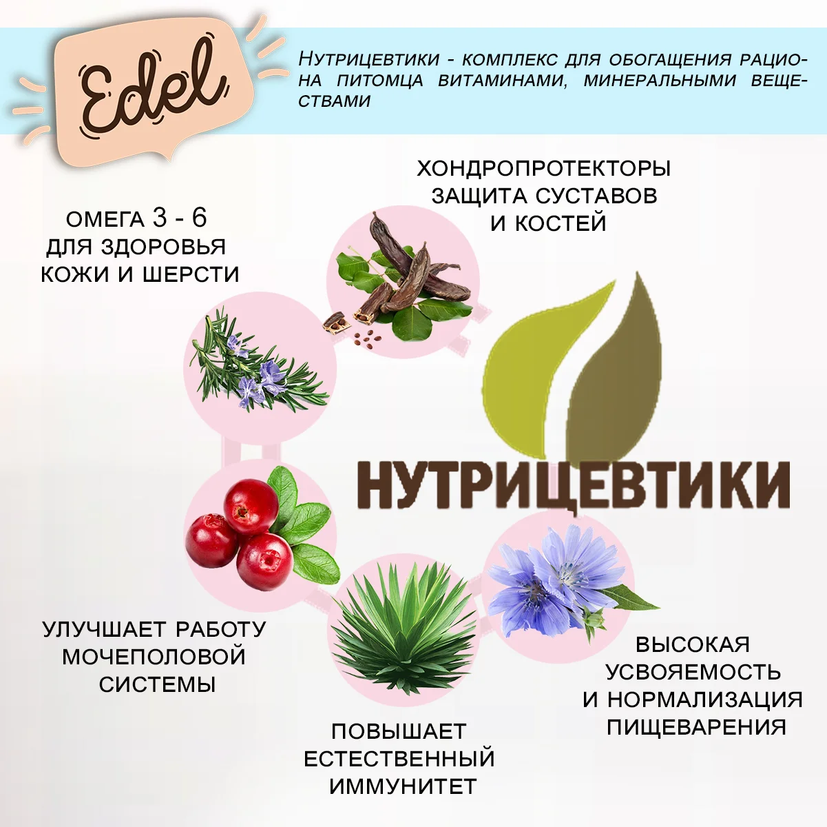 Edel Medium & Maxi для взрослых собак средних и крупных пород с ягненком