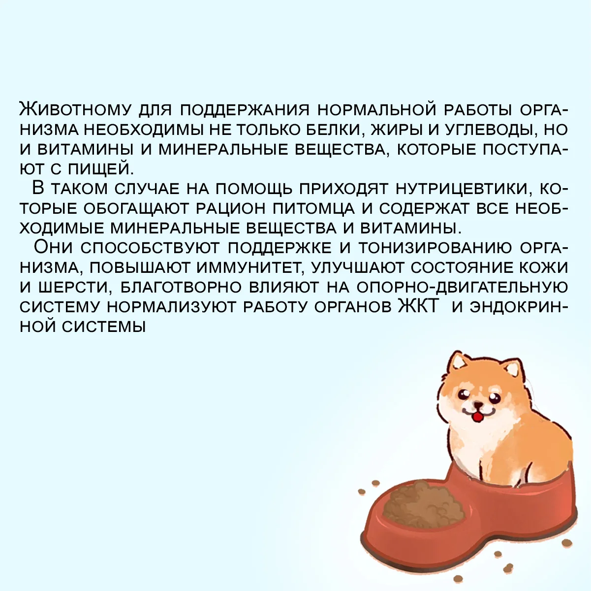 Edel Medium & Maxi для взрослых собак средних и крупных пород с ягненком