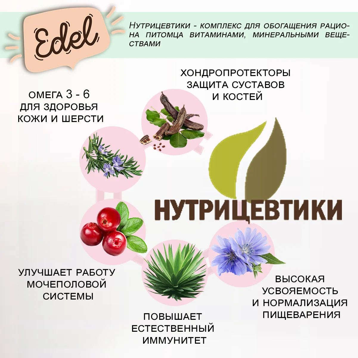 Edel Medium & Maxi для взрослых собак средних и крупных пород с говядиной
