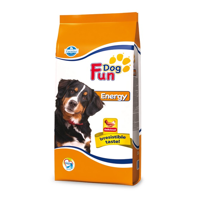 Fun Dog Energy